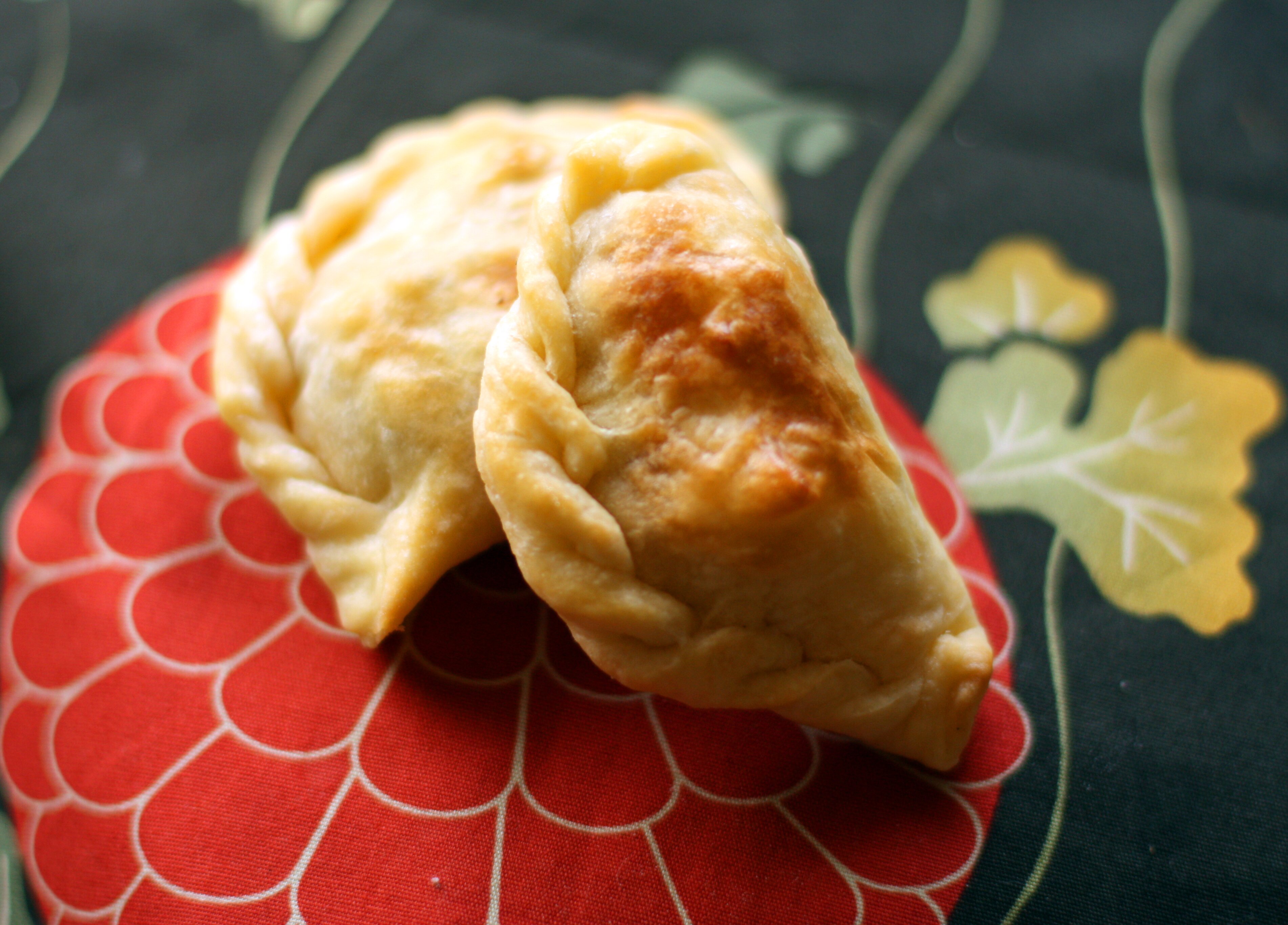 empanadasclosed4